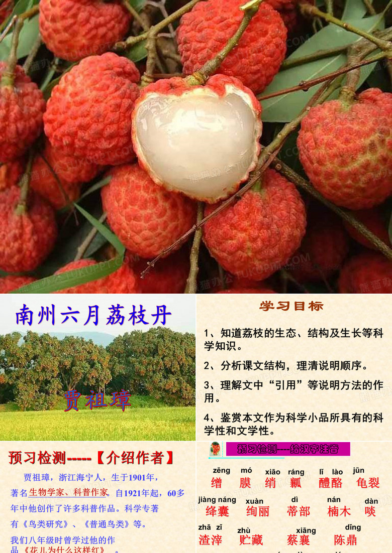 《南州六月荔枝丹