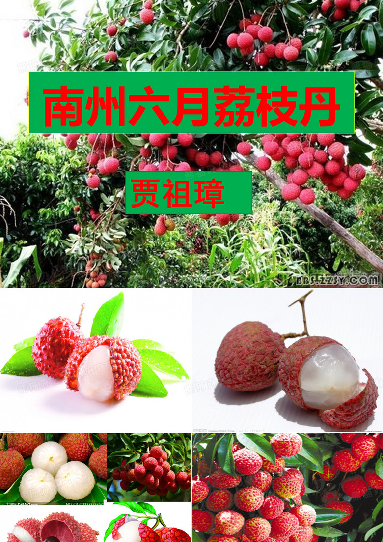 南州六月荔枝丹