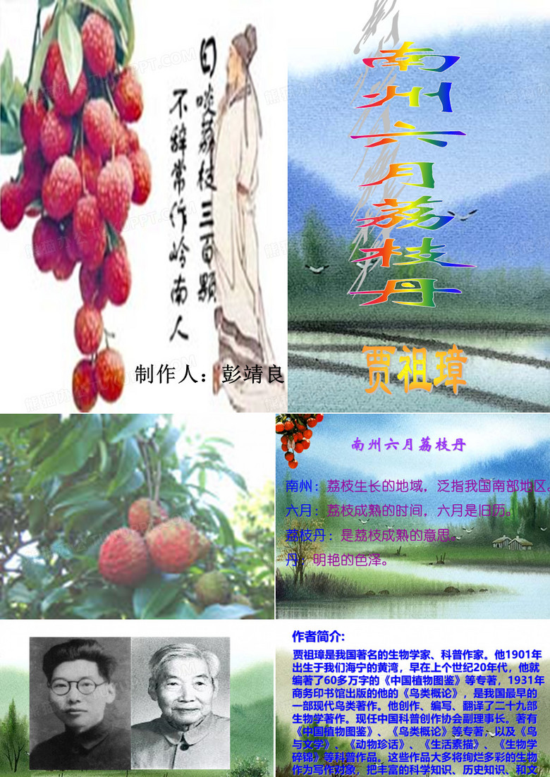 南州六月荔枝丹