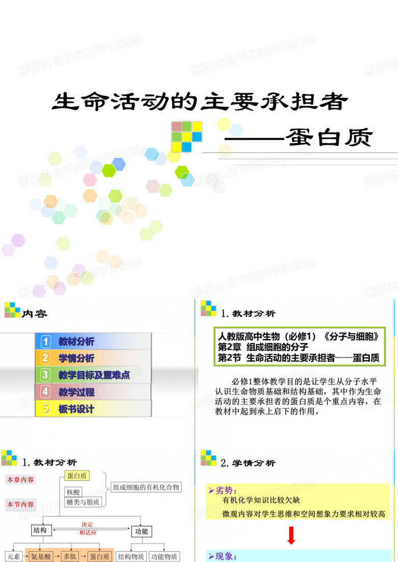 高中生物蛋白质课件