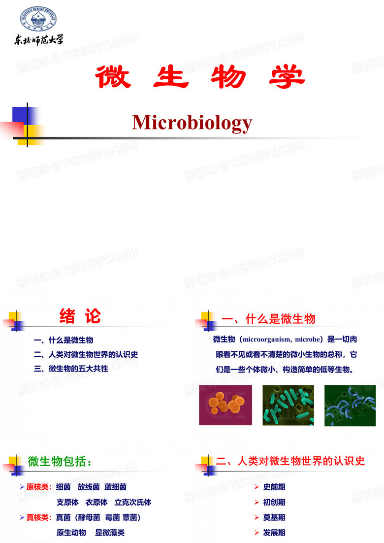 高中生物 微生物学课件