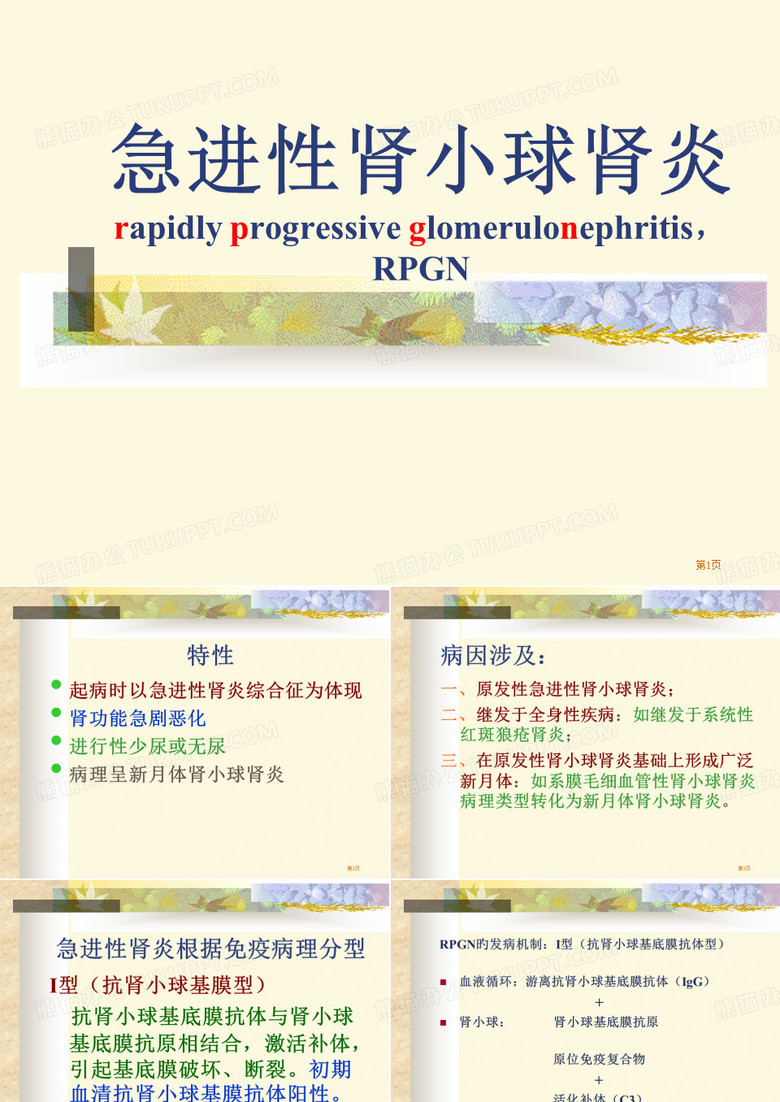 急进性肾小球肾炎慢性肾炎