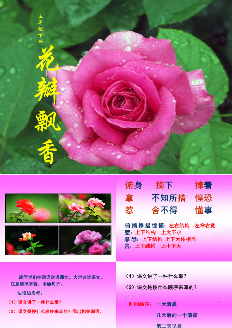 花瓣飘香3