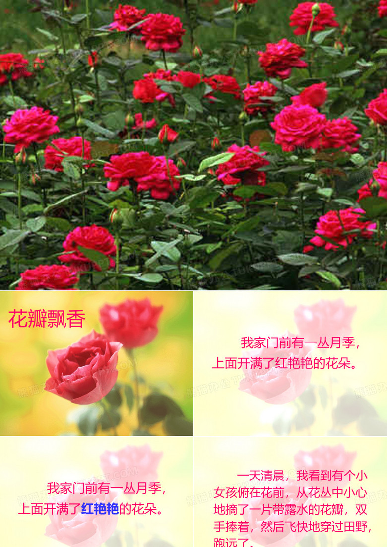 6花瓣飘香