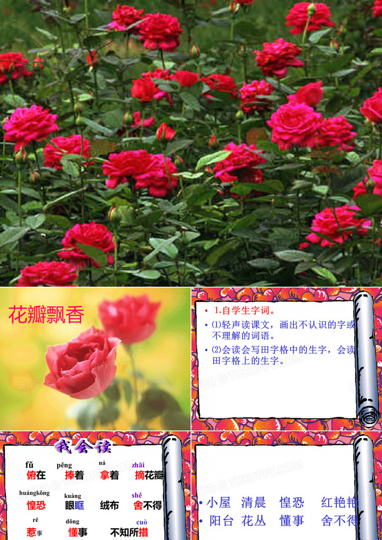 6.花瓣飘香第一课时
