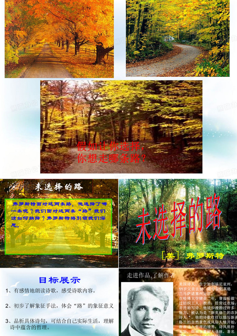 未选择的路