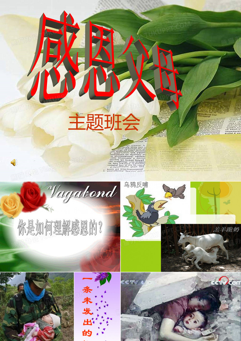 感恩父母课件
