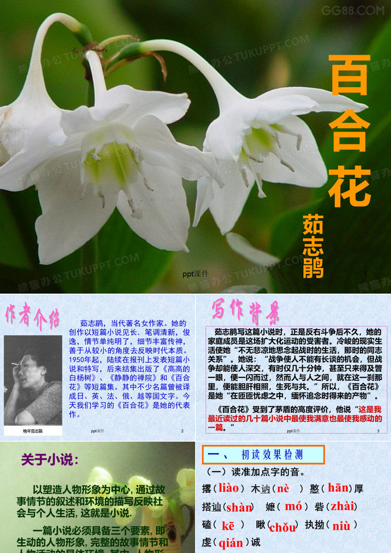 短篇小说百合花茹志鹃  ppt课件