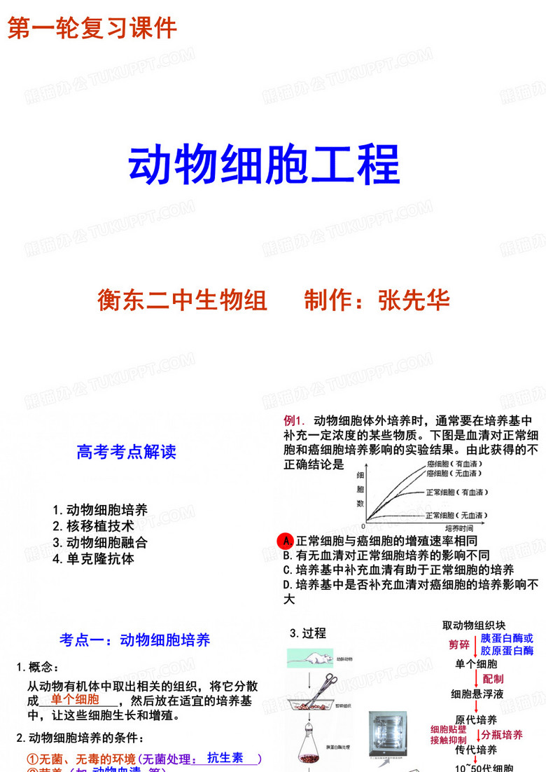 动物细胞工程