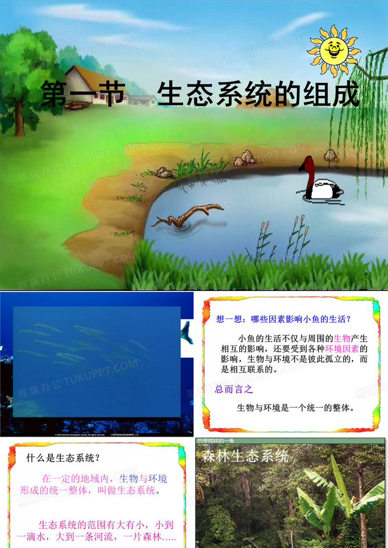 生态系统的组成