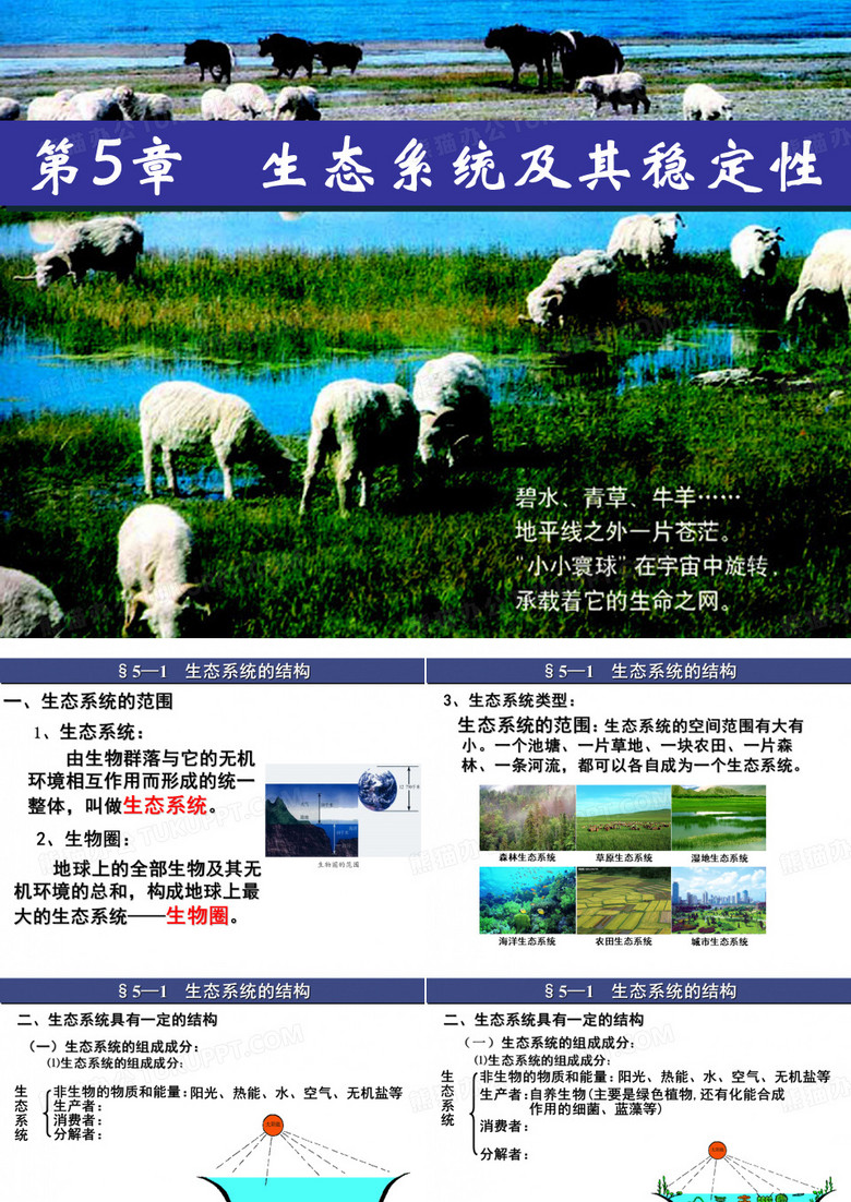 生态系统的组成成分