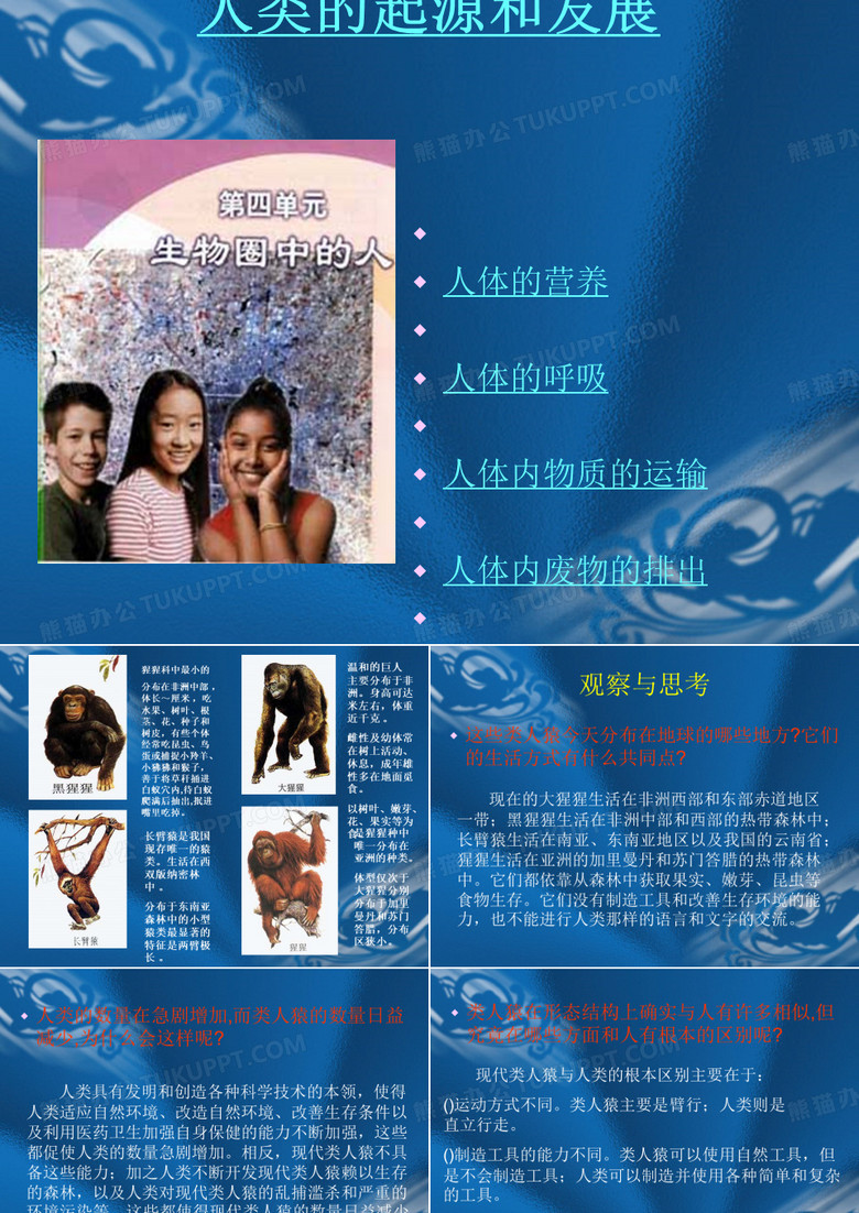 人类的起源和发展