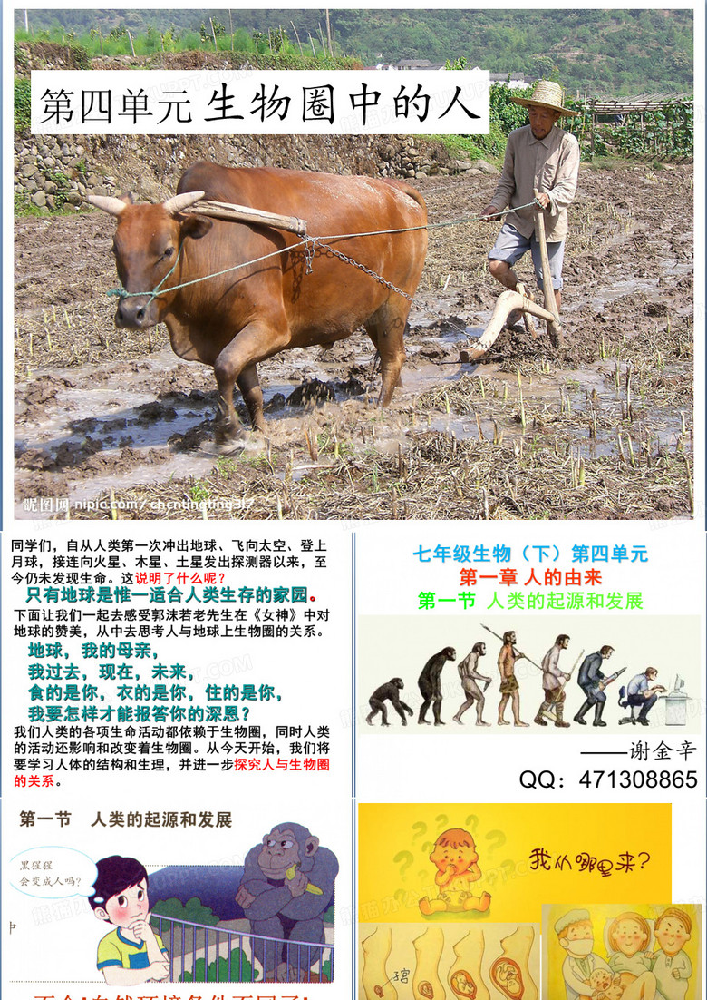 人类的起源和发展