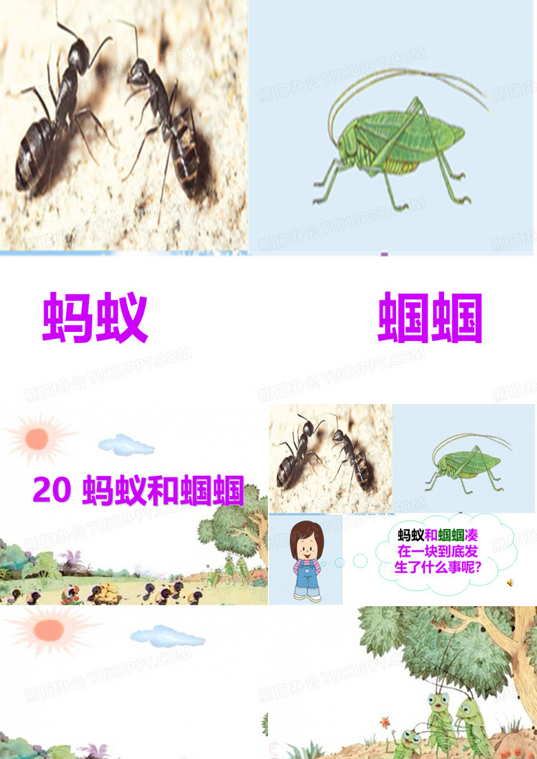 蚂蚁和蝈蝈2