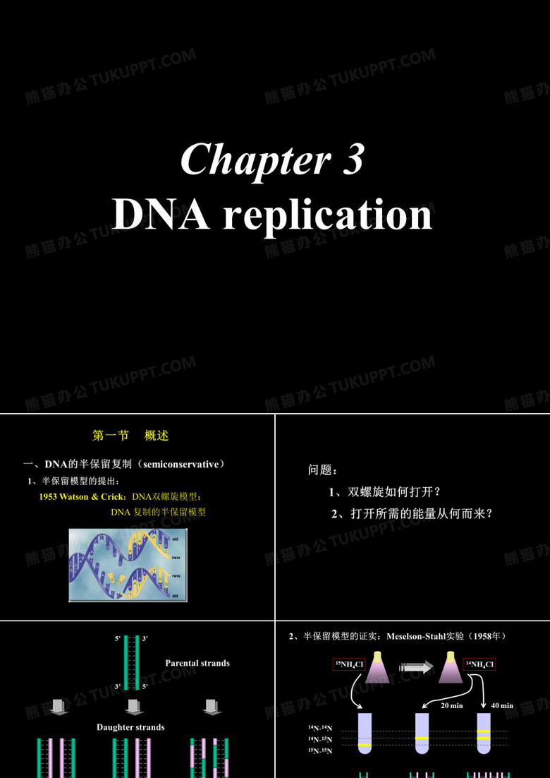 DNA的半保留复制