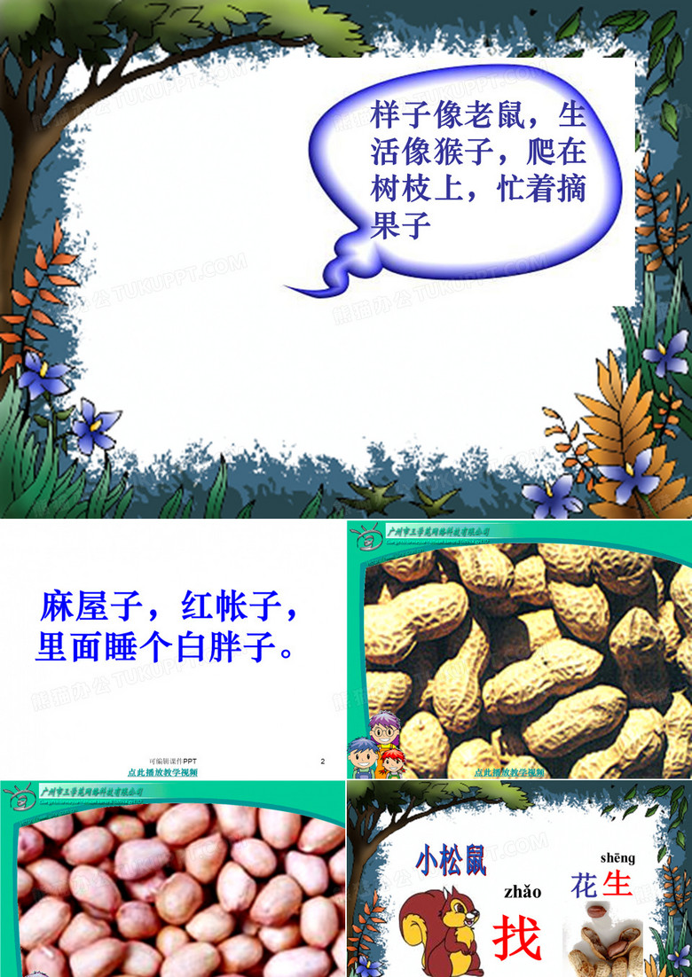 《小松鼠找花生》