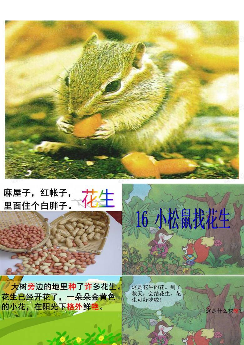 课文小松鼠找花生