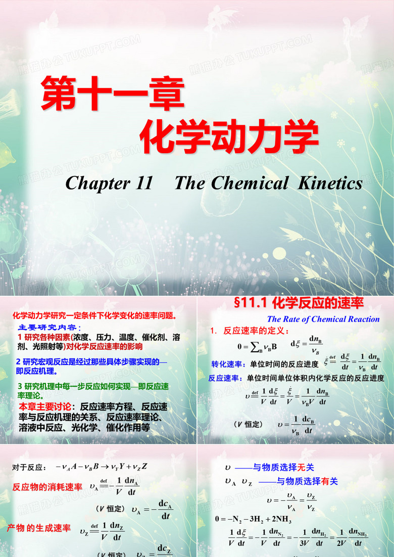 天大物理化学(第五版)第十一章