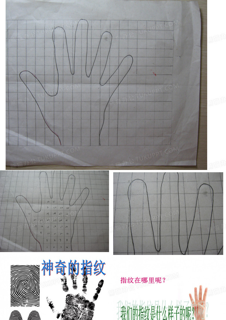 神奇的指纹
