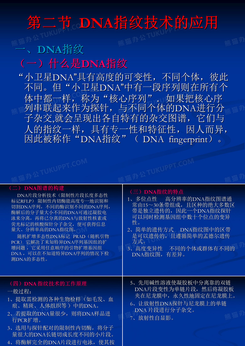 DNA指纹