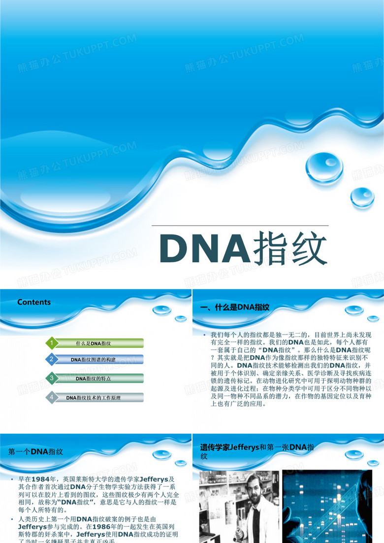 DNA指纹