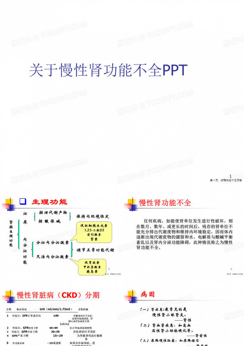 慢性肾功能不全ppt