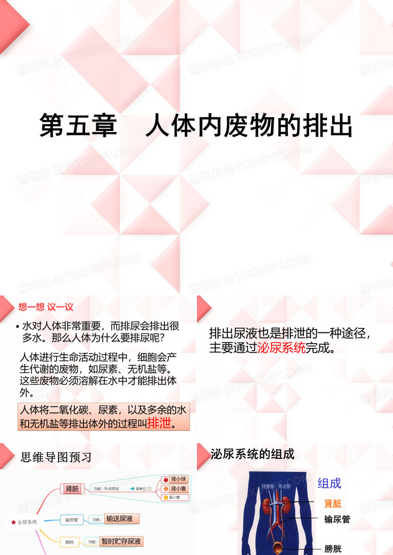 人体内废物的排出
