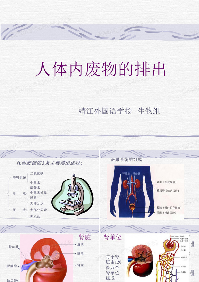 人体内废物的排出