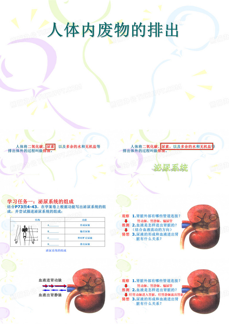人体内废物的排出