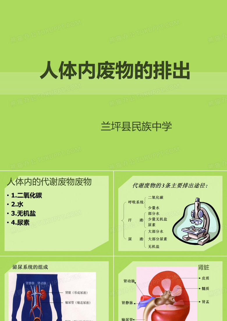人体内废物的排出