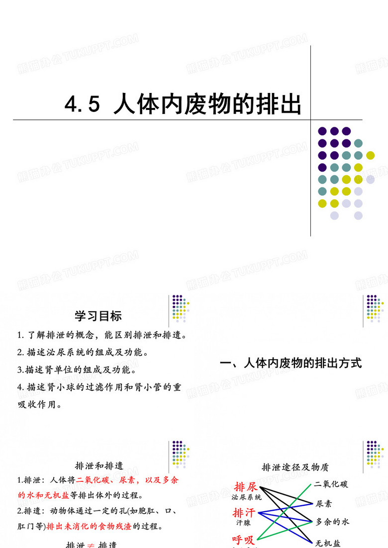 人体内废物的排出