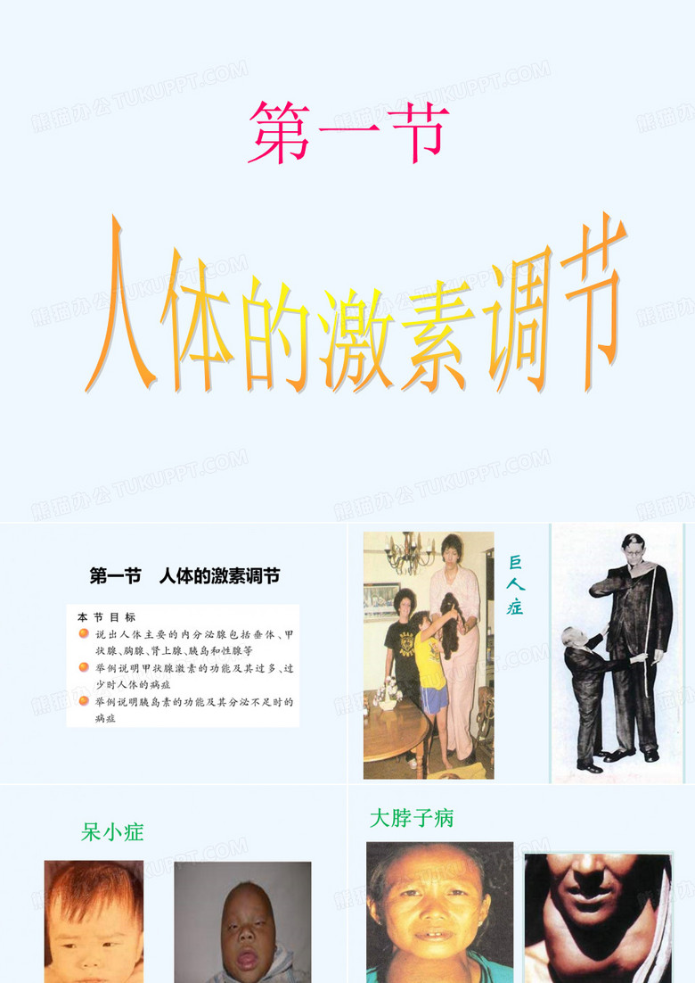 人体的激素调节