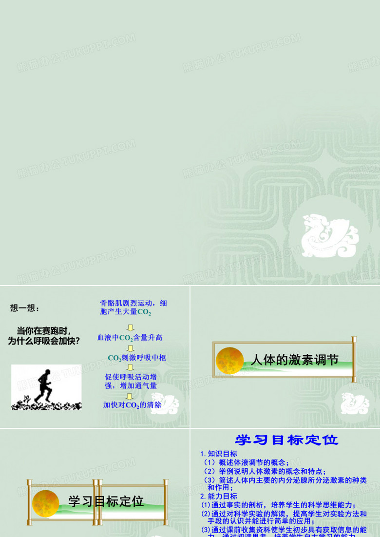 人体的激素调节 课件