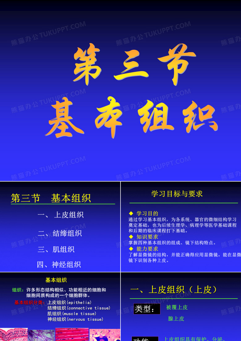 上皮组织