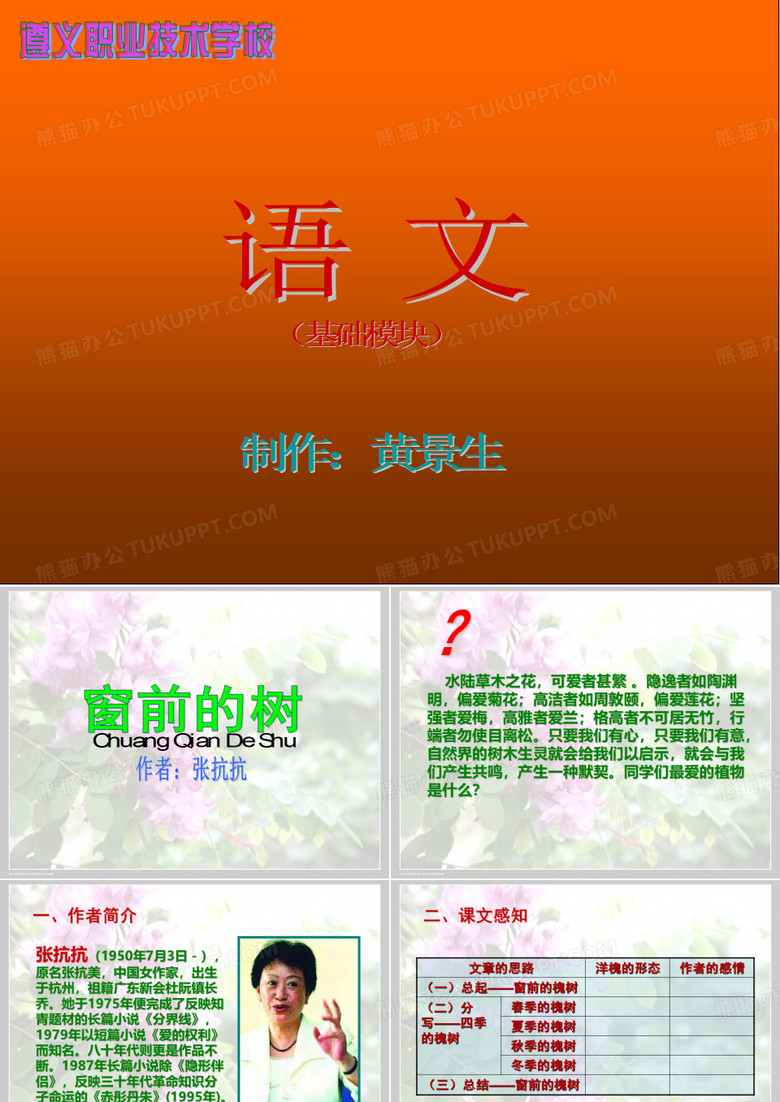 窗前的树