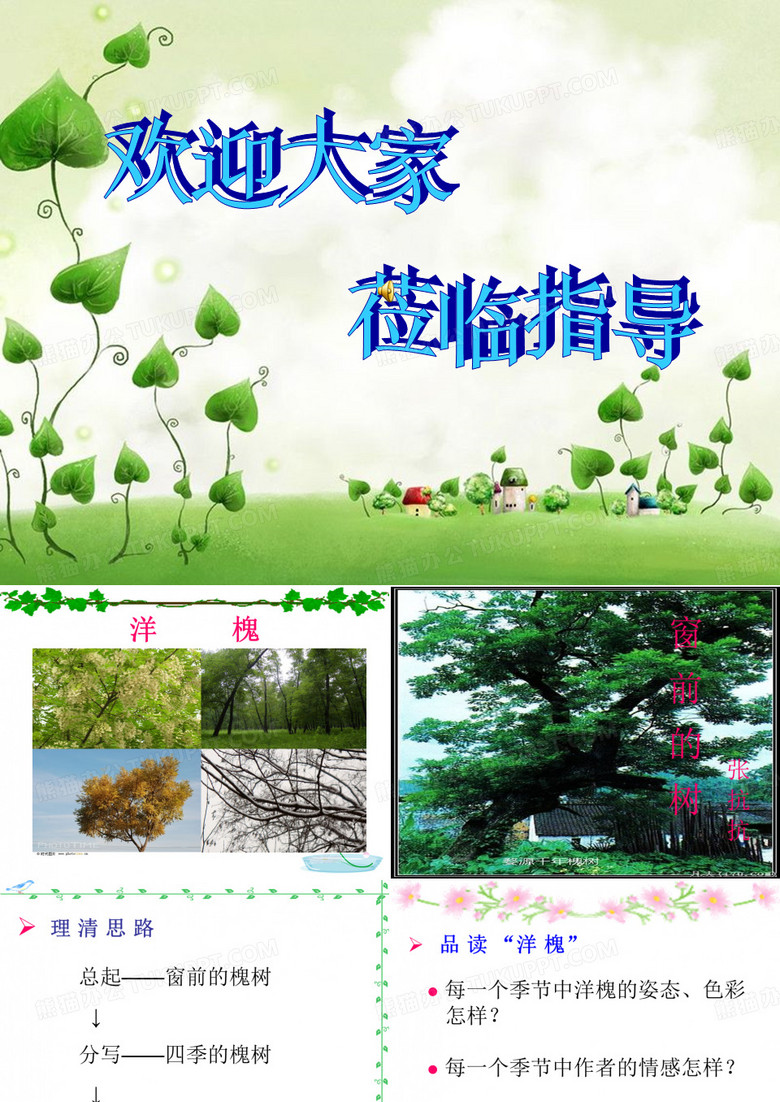 窗前的树