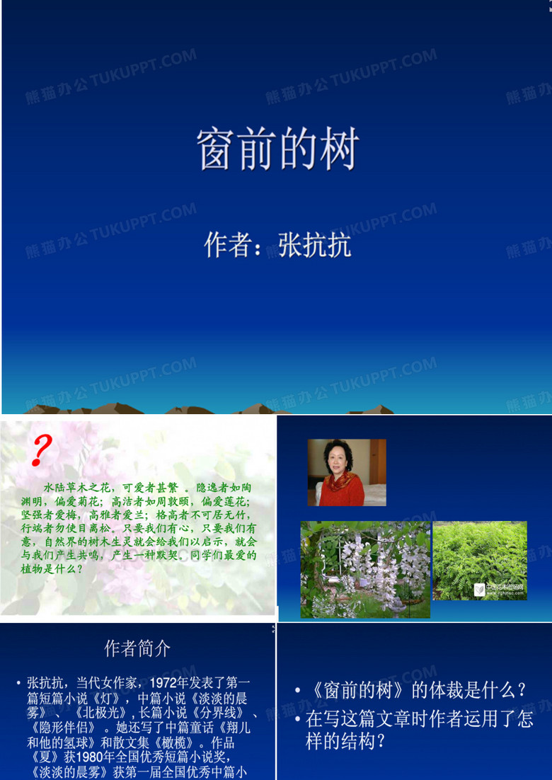 窗前的树