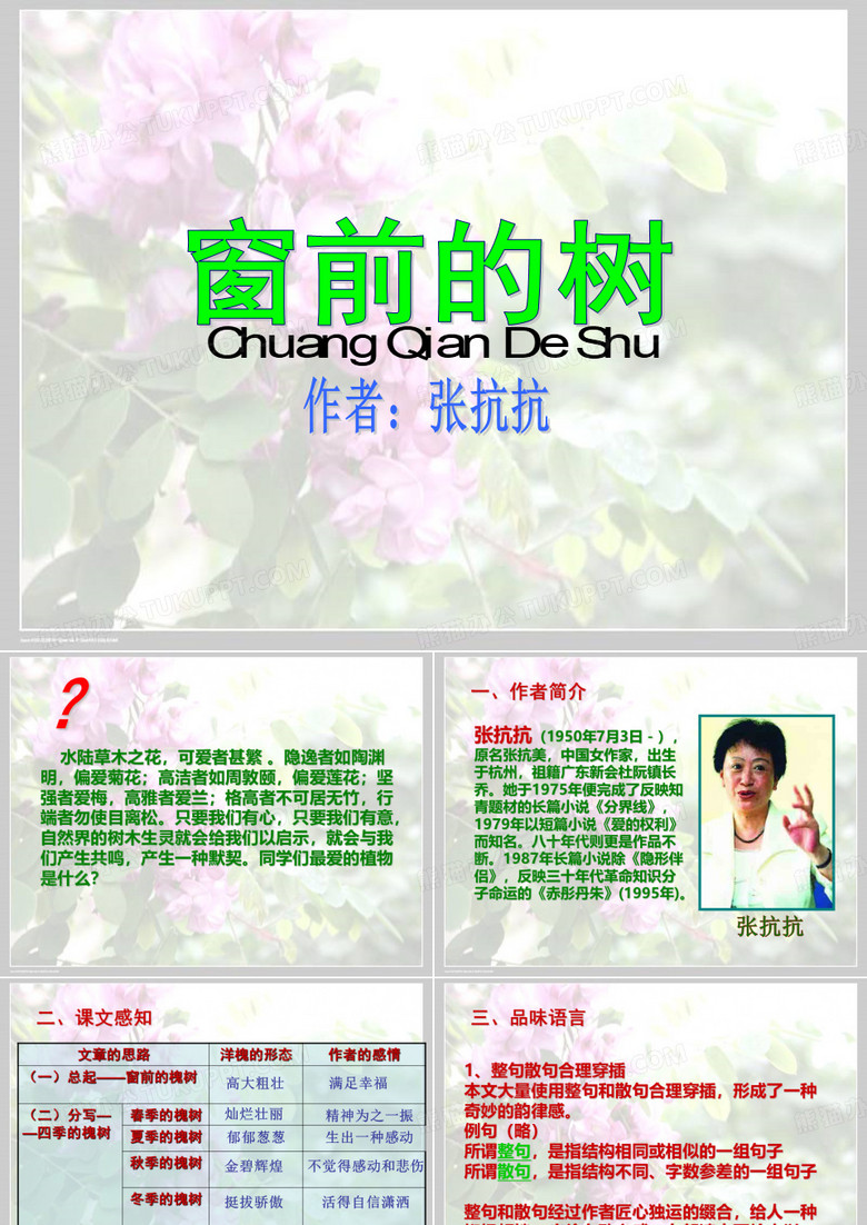 窗前的树一