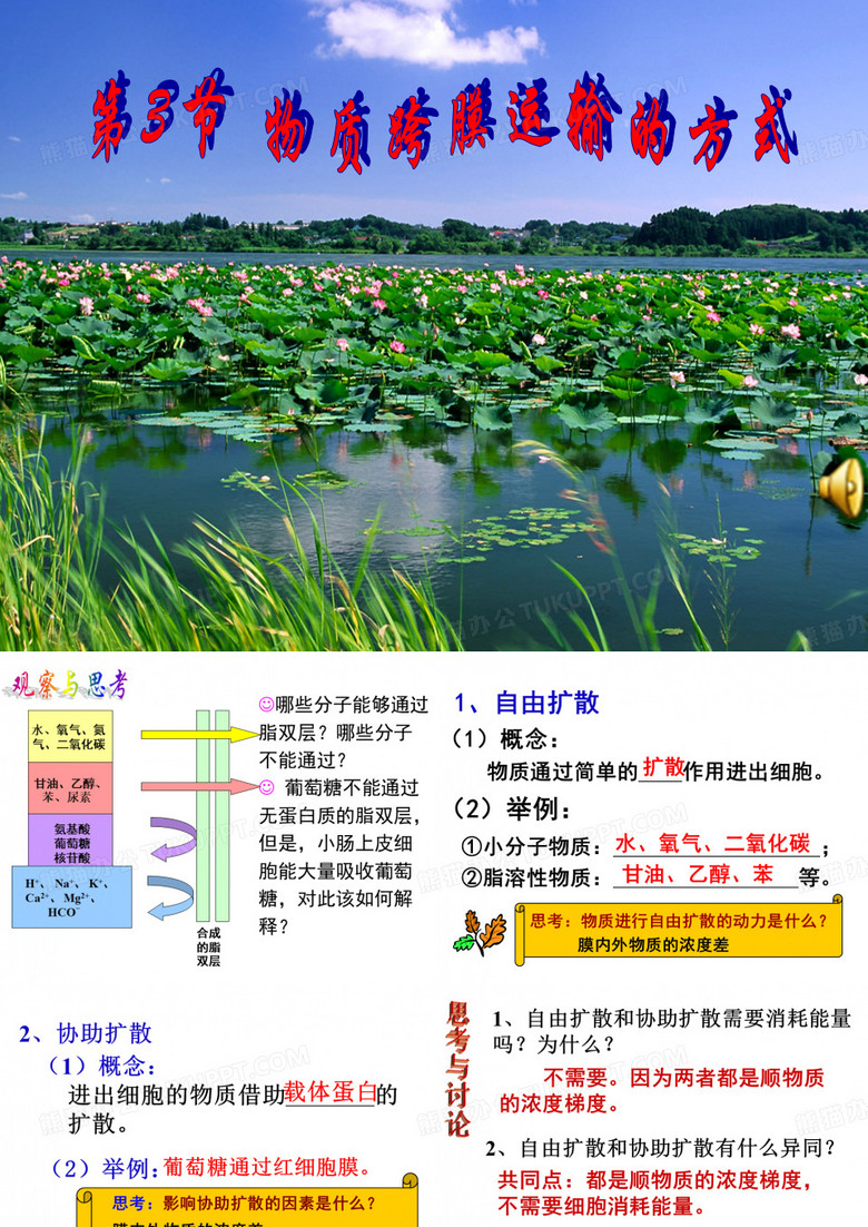 物质跨膜运输的方式