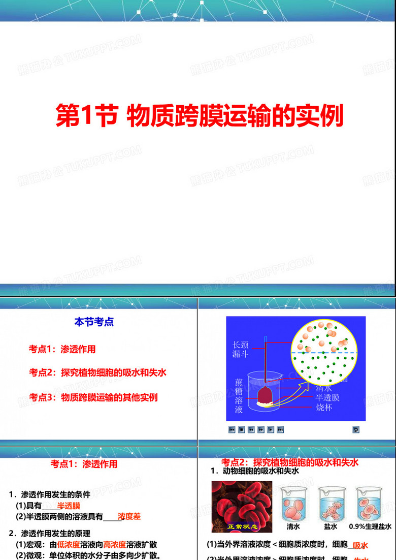 物质跨膜运输方式