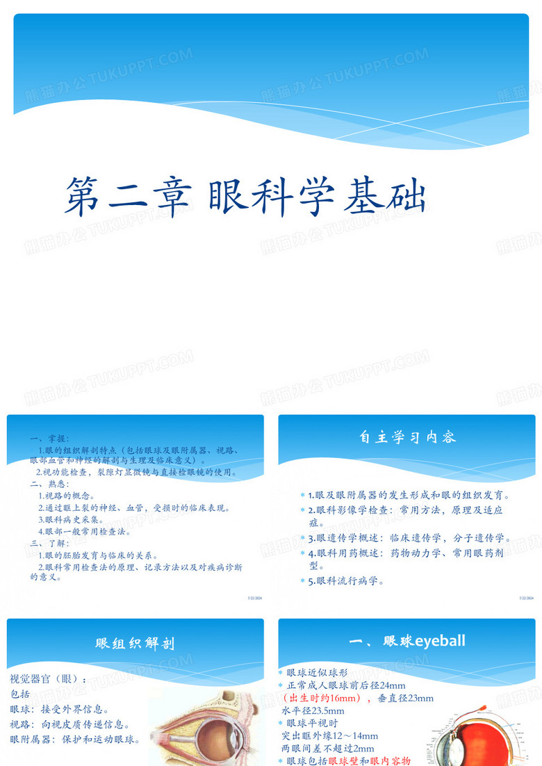 眼科学-眼科学基础