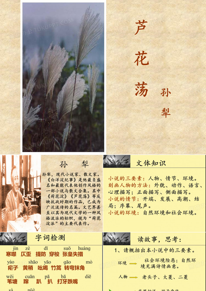 《芦花荡》