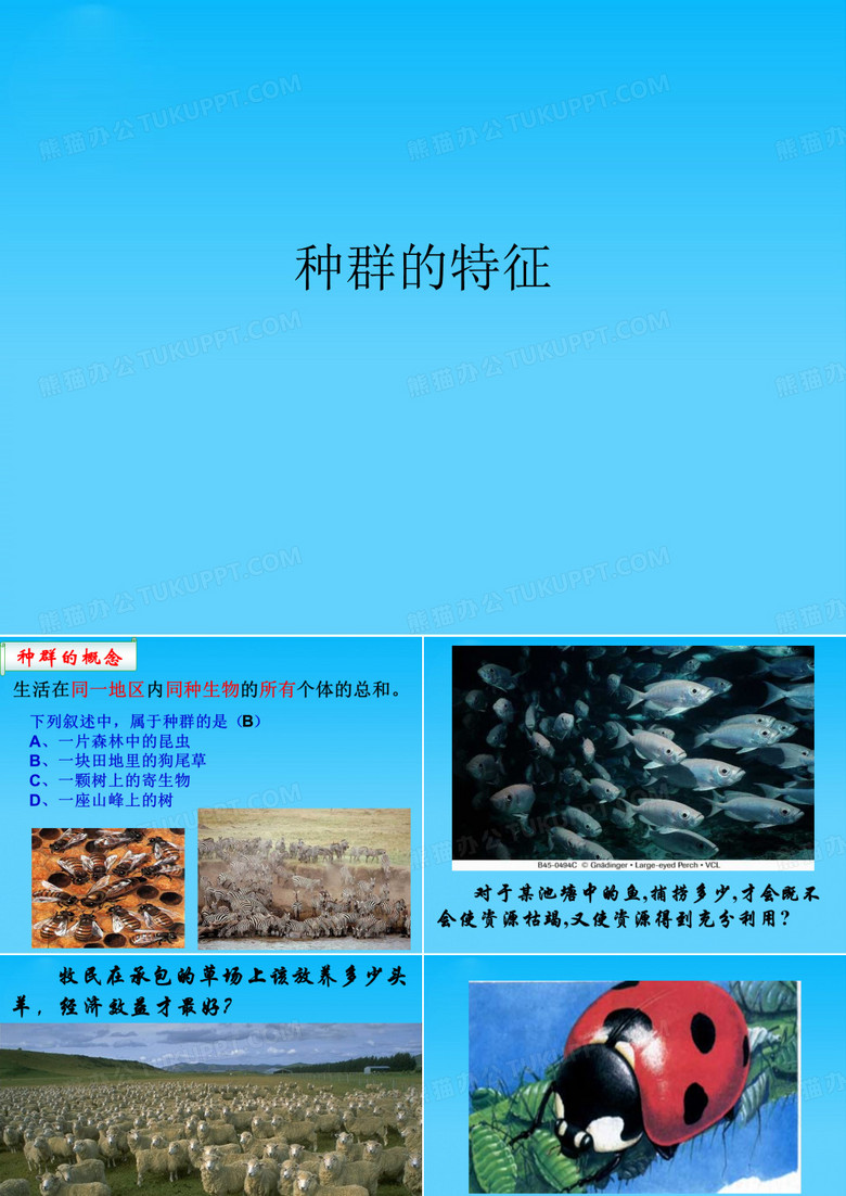 种群的特征