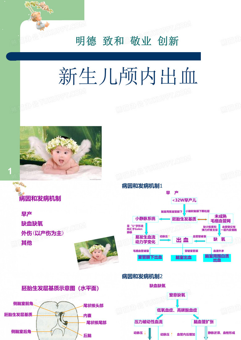 新生儿颅内出血课件