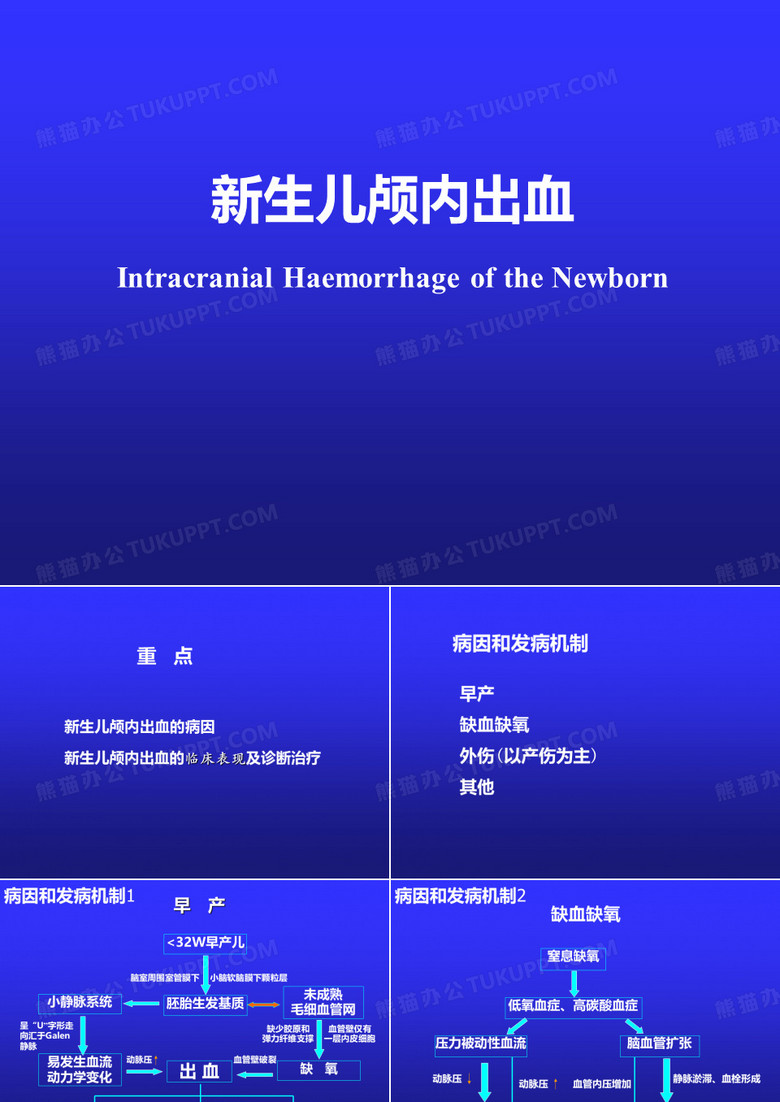 新生儿颅内出血4