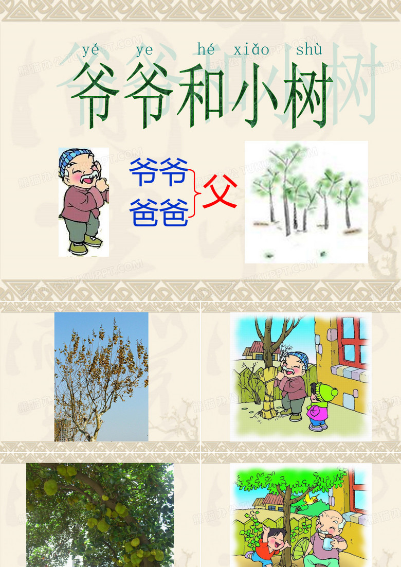 爷爷和小树