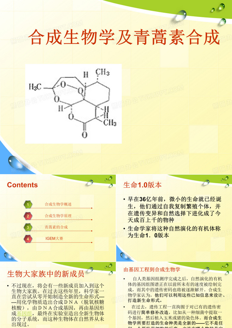 合成生物学及青蒿素合成