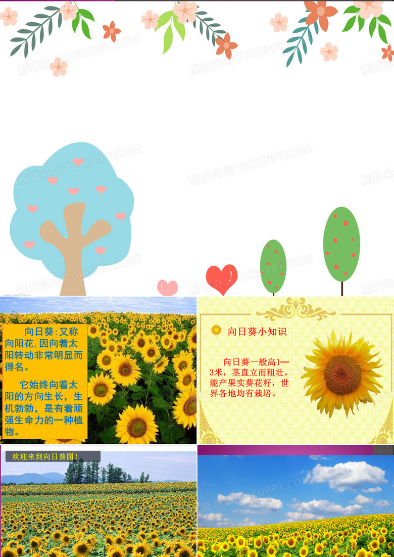 向日葵美术课件