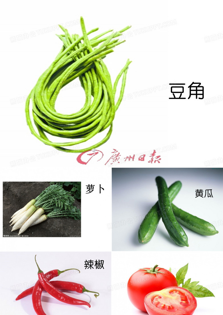 幼儿园大班音乐活动：菜地里的歌