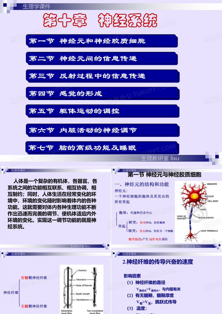 生理学神经系统